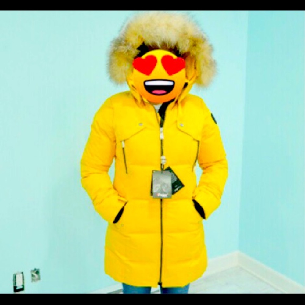 Brand new Pajar coat for woman